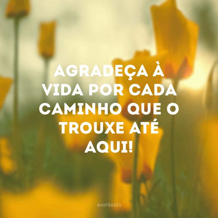 Como o Estado deve intervir na atividade económica? Como o Estado deve intervir na atividade económica?
