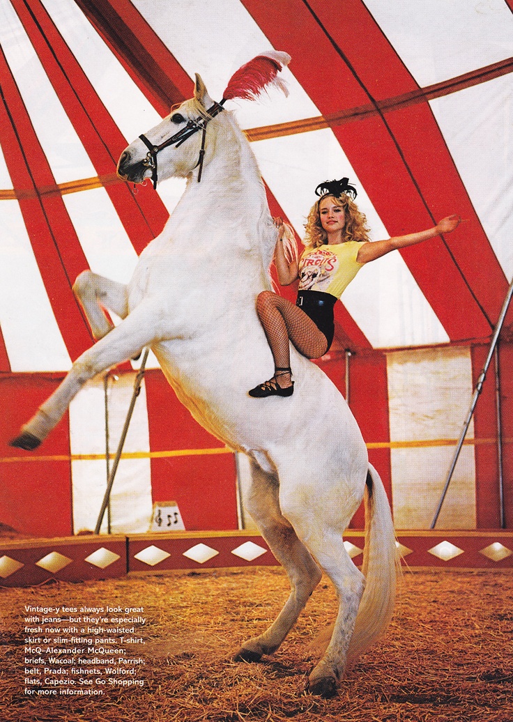 Image result for circus horse