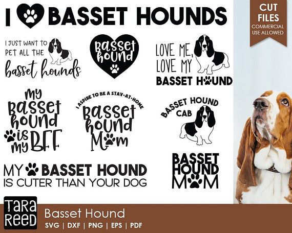 American Coonhound Bumper Stickers I Love My Coonhound Dog Decals 2 pack