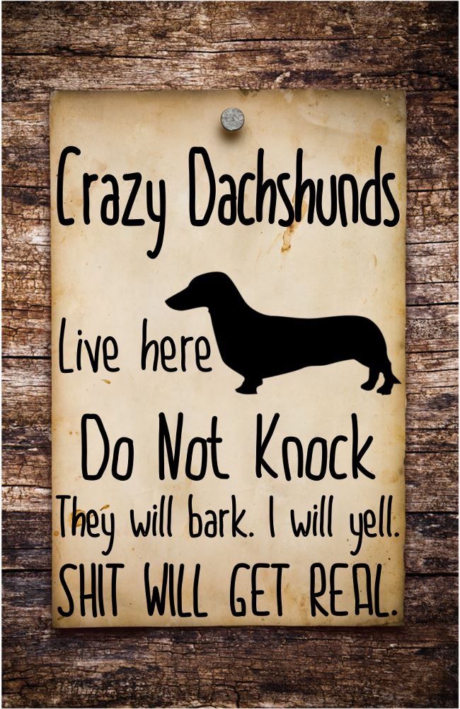 That S Exactly How I Feel When My Dachshund Barks Dachshund