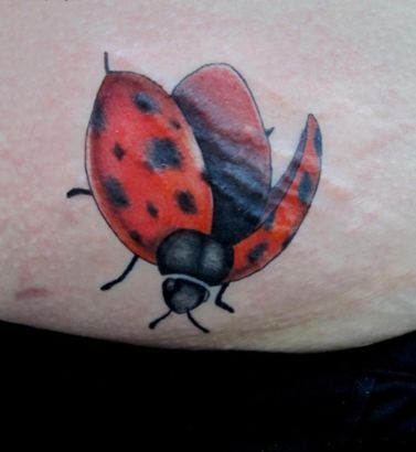 49 best 3d ladybug tattoo images on pinterest tattoo ideas all 49 best 3d ladybug tattoo images on pinterest tattoo ideas all