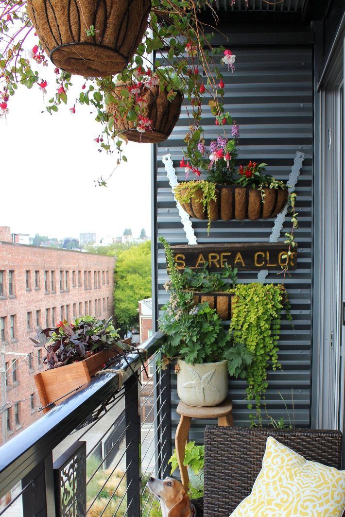 um this is the best blog post on decorating your apartment on a