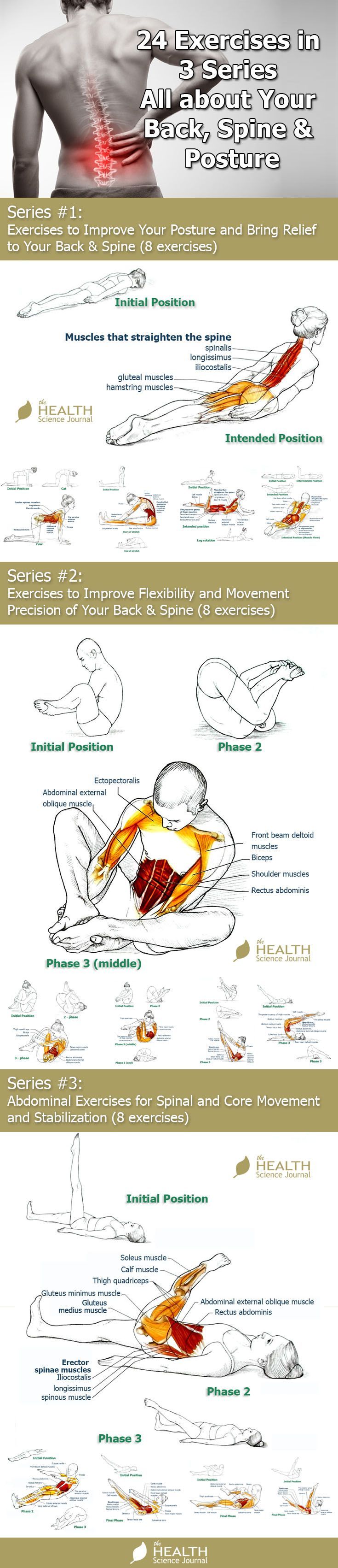 24 Exercises in 3 Series – All about Your Back, Spine & Posture - The Health S...