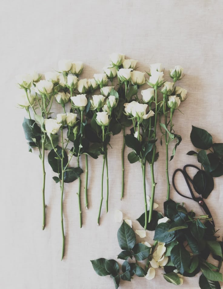 1934 Best Rosas Hermosas Flores Por Todos Lados Images On Pinterest Find This Pin And More On Rosas Hermosas Flores Por Todos Lados