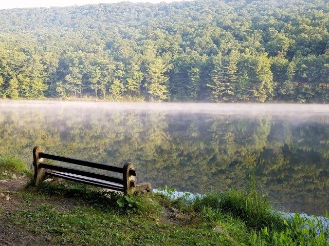 8 Lesser Known State Parks In Pennsylvania That Will Absolutely Amaze You State Parks Day Trips In Pa Pennsylvania Travel