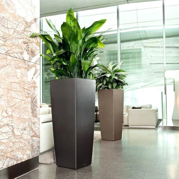 The Art Of Decorating With Tall Planters Contemporary