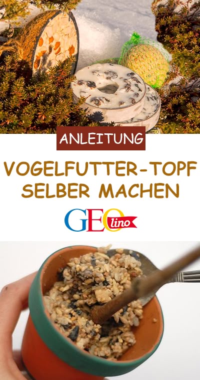 Vogelfutter selber machen: Anleitung und Rezept