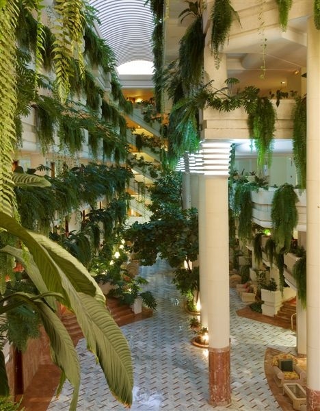 Hotel Arona Tenerife Hotel Arona Tenerife