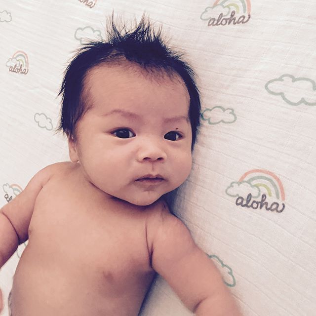 Aloha baby aloha cocomoon hawaii islandinspiredbabygoods swaddle swaddleblanket Aloha baby aloha cocomoon hawaii islandinspiredbabygoods swaddle swaddleblanket
