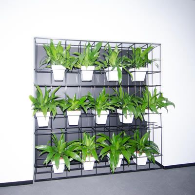 Vertical Garden Ideas Australia 118 best plant wall images on pinterest | plants, vertical gardens Vertical Garden Ideas Australia 118 best plant wall images on pinterest | plants, vertical gardens