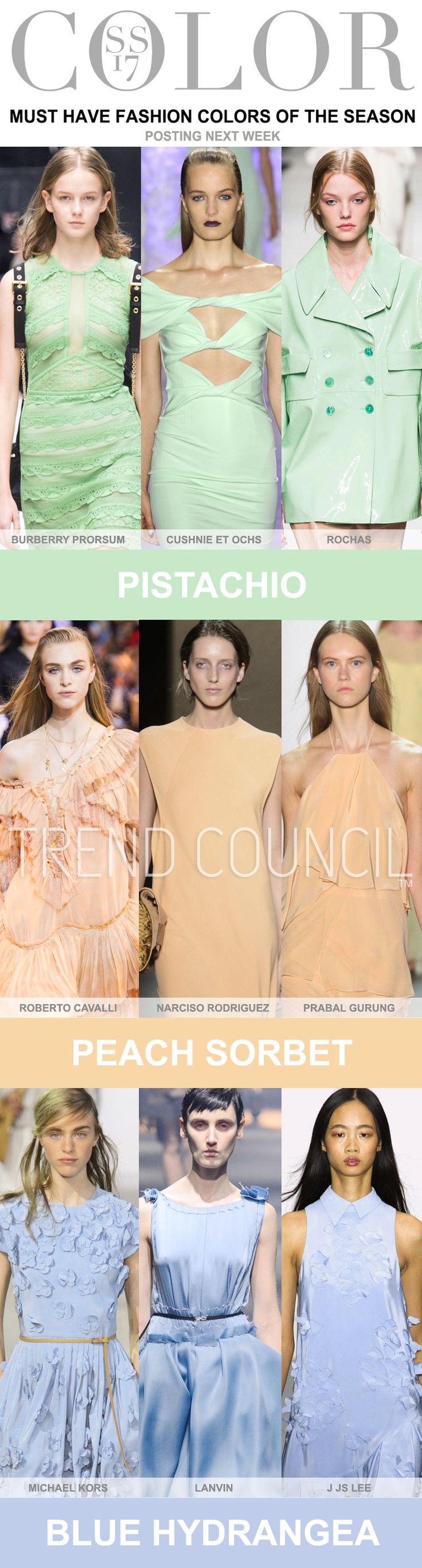 455 best 2017 18 RUNWAY TRENDS images on Pinterest TREND COUNCIL UPDATES