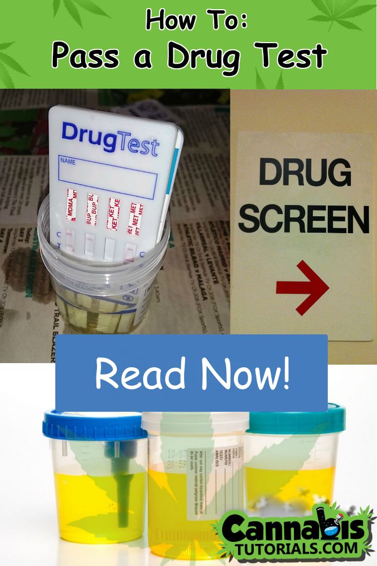 Are best way to pass piss test can not Can best way to pass piss test