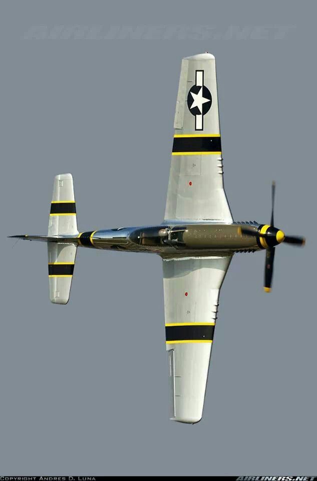 107 best P-51 Mustangs images on Pinterest Military aircraft - p&l sheet example 107 best P-51 Mustangs images on Pinterest Military aircraft - p&l sheet example