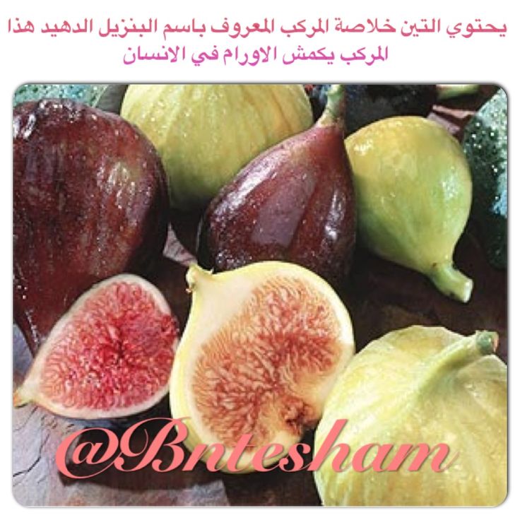 seven foods mentioned in quran Foods of the prophet allow your food to cool before eating ginger (zanjabil)--ginger is mentioned in the holy qur'an (76:17. seven foods mentioned in quran Foods of the prophet allow your food to cool before eating ginger (zanjabil)--ginger is mentioned in the holy qur'an (76:17.
