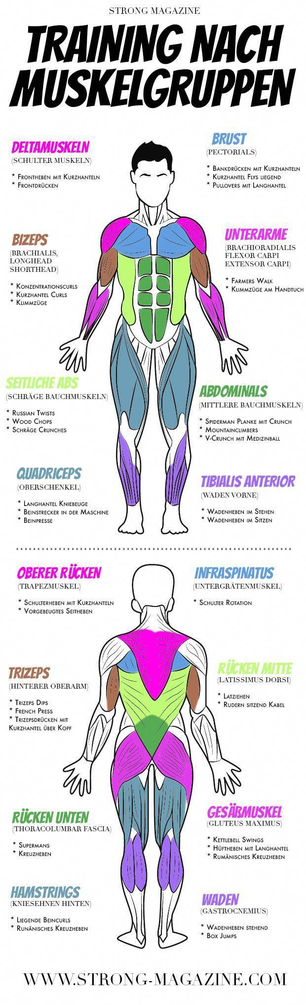 Welche Übungen sind besonders effektiv für Bauch, Beine und Po?