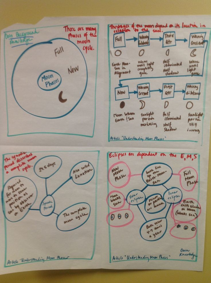 science thinking maps thinking map 5th grade science spanish weather chart