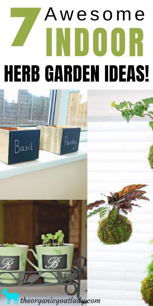 Indoor Gardening Kräutergarten Gartentipps Für Anfänger Wie Anfanger Ga Herbs Indoors Herb Garden Best To Grow Herbs Indoors Indoor Herb Garden, Herb Garden Tips Beginners