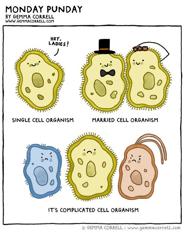 Partnersuche biologie
