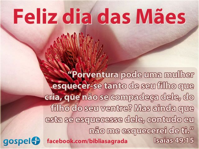Mensagens Bíblicas Para O Dia Das Mães 2019 Pesquisa Google Mensagem Dia Das Mães Mensagens Mensagem Para O Dia
