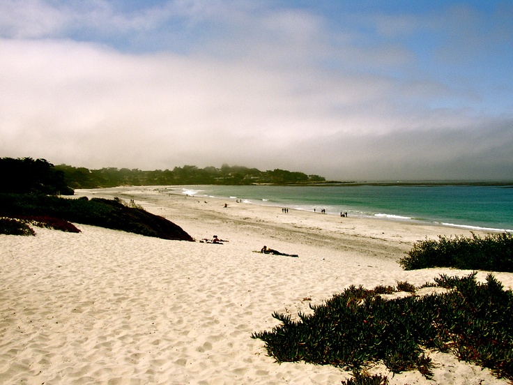 Carmel Ca Dog Friendly Beaches Carmel Ca Dog Friendly Beaches
