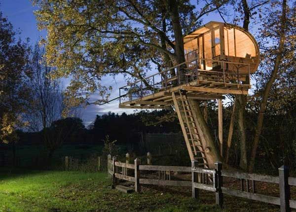 Cool Kids Tree House 50 best the treehouse project images on pinterest | backyard ideas Cool Kids Tree House 50 best the treehouse project images on pinterest | backyard ideas