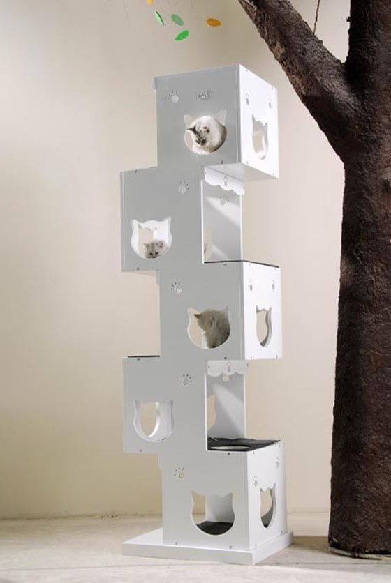 Arbre à Chat Accessoires Chiens Et Chats Mobilier Aménagement Arbre à Chat Accessoires Chiens Et Chats Mobilier Aménagement Chien Pinterest Cat Furniture And People