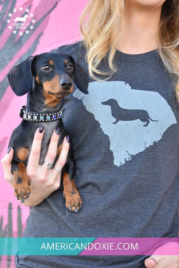 Celebrating Our State And Doxie Love With Our Dachshund State