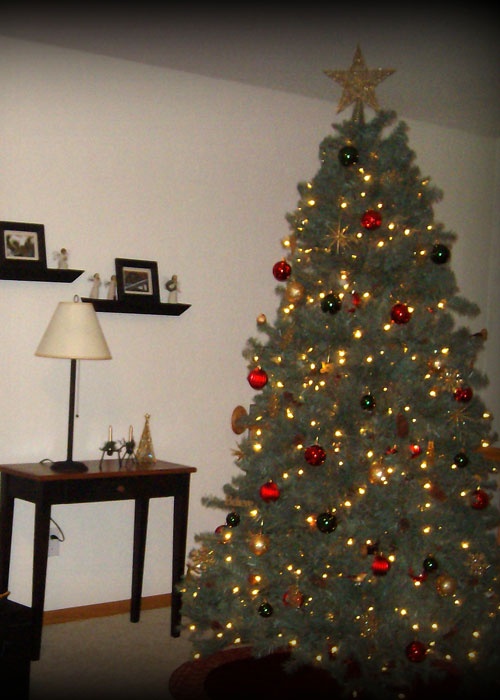 576 best country living s christmas tree contest images on 576 best country living s christmas tree contest images on