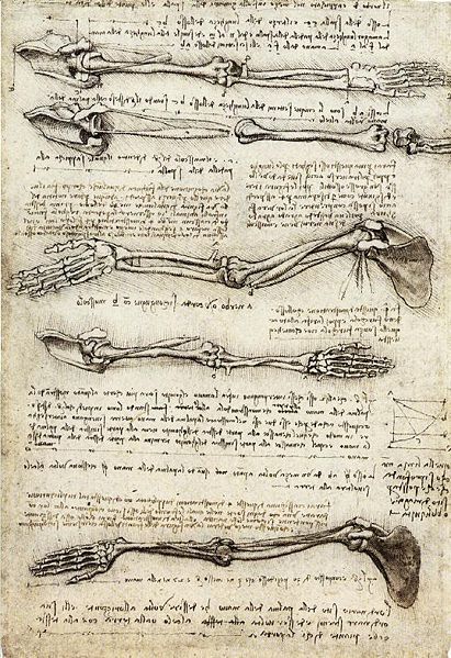51 best Leonardo da Vinci images on Pinterest Da vinci painting - leonardo da vinci resume 51 best Leonardo da Vinci images on Pinterest Da vinci painting - leonardo da vinci resume