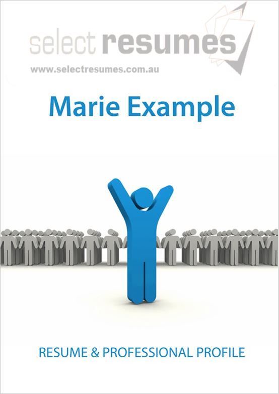 Best professional resume writing services 4 government jobs