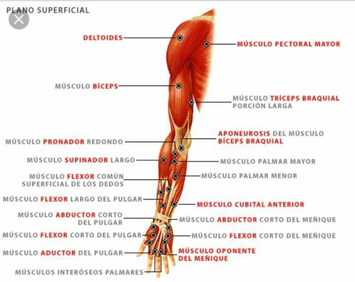 Pin By Naths On Enf Blog Posts Medicine Blog