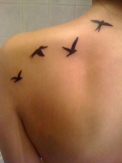 130 best bird tattoos images on pinterest body modifications 130 best bird tattoos images on pinterest body modifications