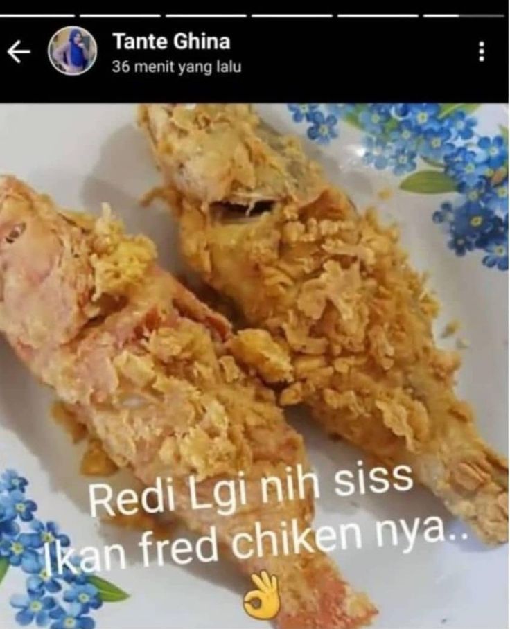 Ikan Fred Chiken Humor Lucu Meme Lucu