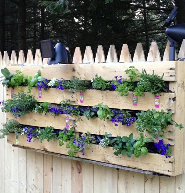 38 best Garten images on Pinterest Gardening, Apartment gardening - indoor garten anlegen geeignete pflanzen 38 best Garten images on Pinterest Gardening, Apartment gardening - indoor garten anlegen geeignete pflanzen