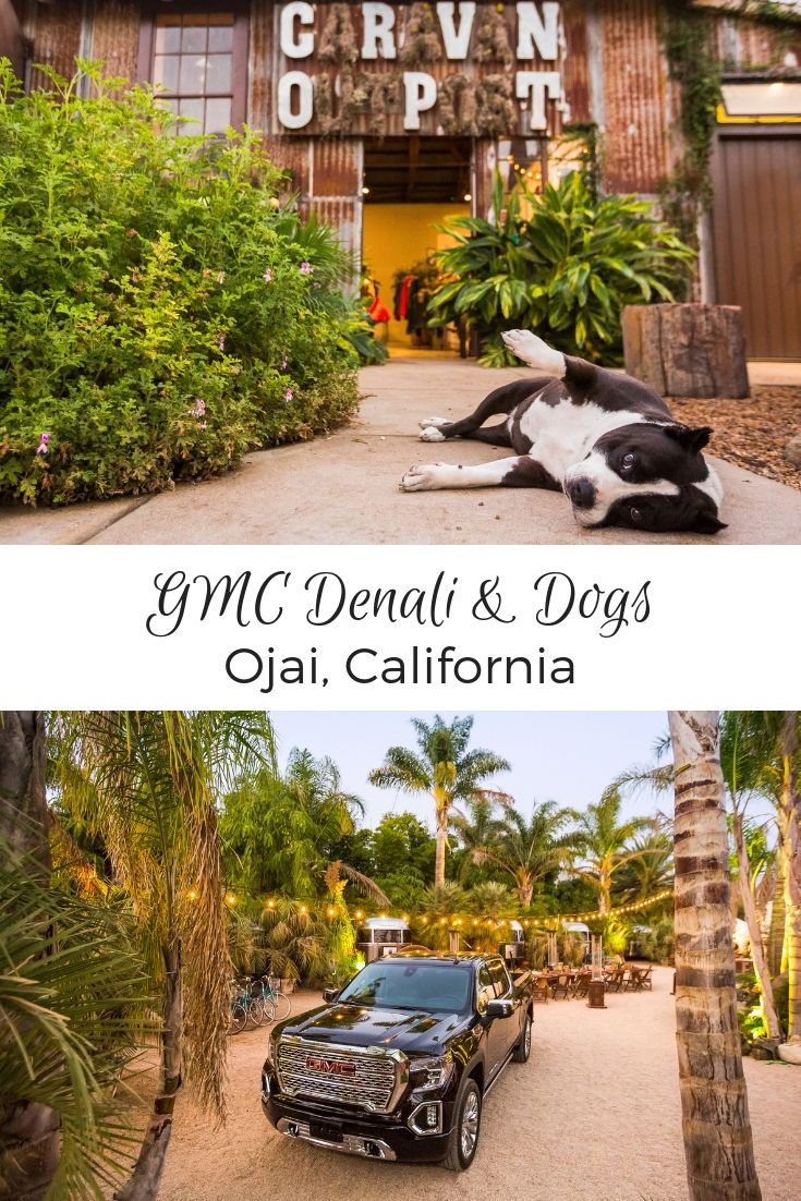 Weekend in Ojai Denali & Dogs with GMC Ojai hotels, Ojai Weekend in Ojai Denali & Dogs with GMC Ojai hotels, Ojai