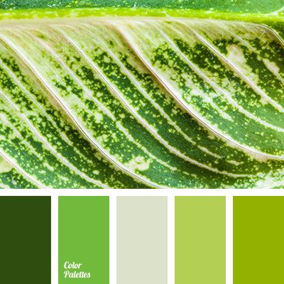 Colors That Match Green 135 best green with envy images on pinterest | emerald green Colors That Match Green 135 best green with envy images on pinterest | emerald green