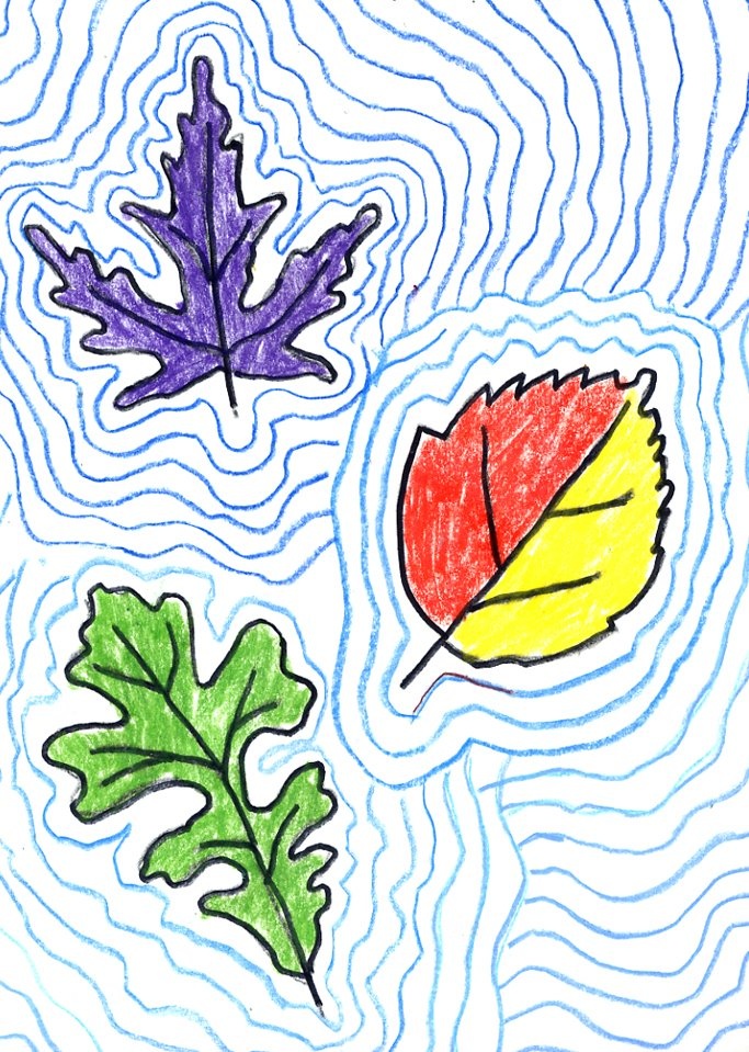 Contour Line Drawing Activities : Best children s fall art activities images on pinterest