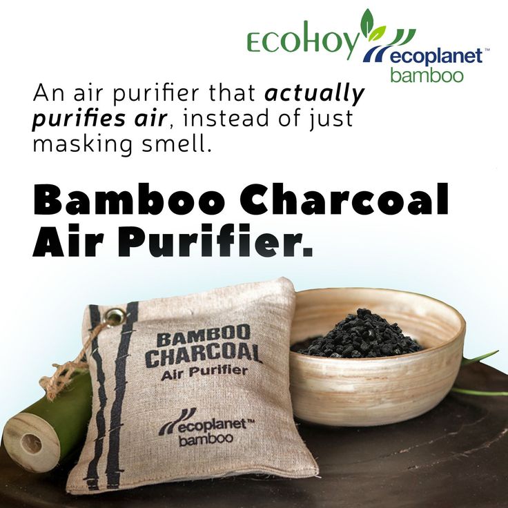 Charcoal Air Purifying Bag in 2020 Air purifying bag, Air purifier