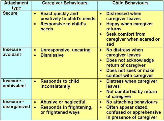 attachment theory attachment theory