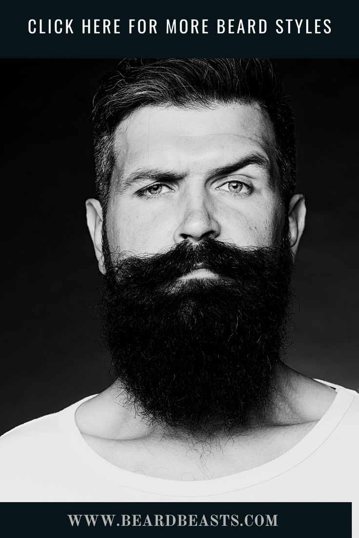 Looking for some beard styles that will make you the talk with the