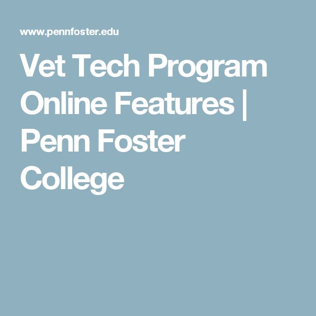 Best 25+ Vet tech programs ideas on Pinterest Find a vet - vet tech job description Best 25+ Vet tech programs ideas on Pinterest Find a vet - vet tech job description