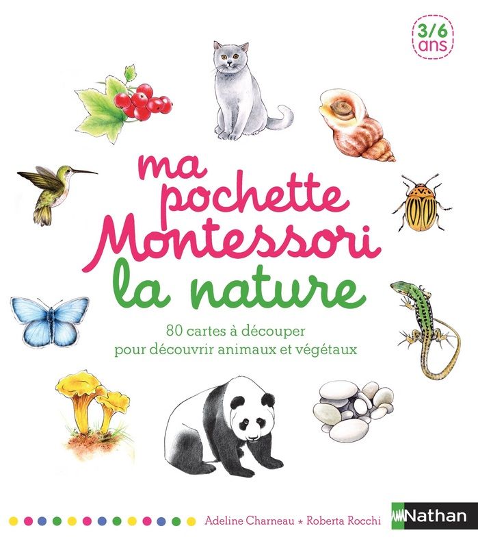 219 best Jeux/Jouets images on Pinterest Toys, Amazon and Baby games - peinture bio pas cher 219 best Jeux/Jouets images on Pinterest Toys, Amazon and Baby games - peinture bio pas cher
