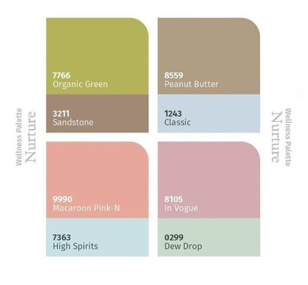 Asian Exterior Paints Ace Vs Apex Vs Ultima Emulsion Paints Colourdr Exterior Paint Asian Paints Painting Services