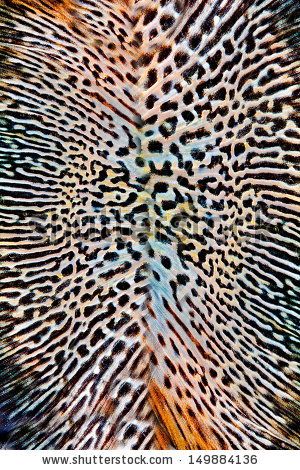 animal skin patterns stock photo images 20 829 animal skin patterns royalty free pictures and seamless animal skin pattern stock photo winter animal skin patterns stock photo images 20 829 animal skin patterns royalty free pictures and seamless animal skin pattern stock photo winter