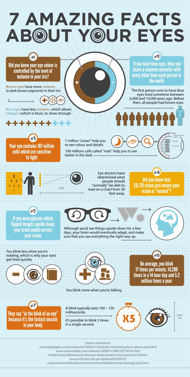 infographic featuring the top 20