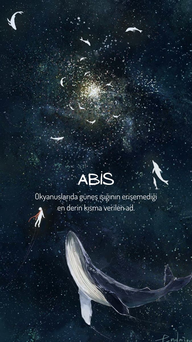 Monkberry Adli Kullanicinin Kelam Panosundaki Pin Adlar Deri