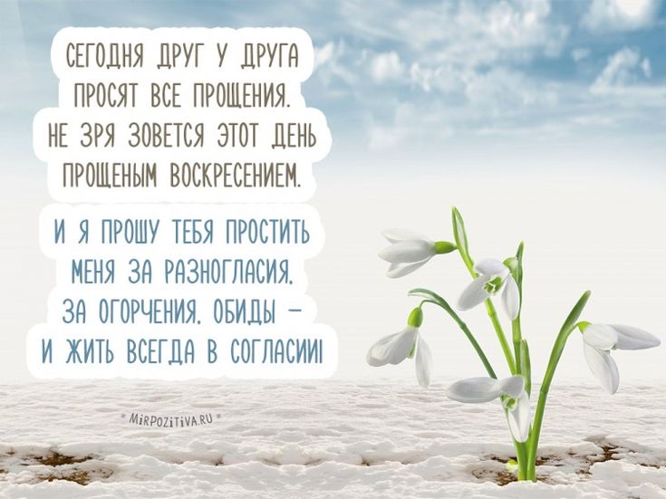 Простите меня друзья открытки