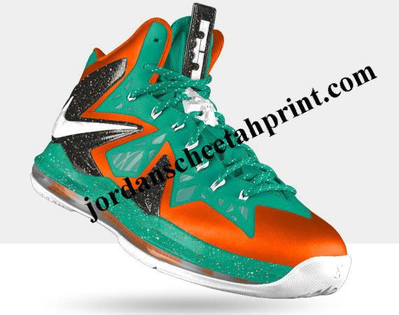 Lebron James 2013