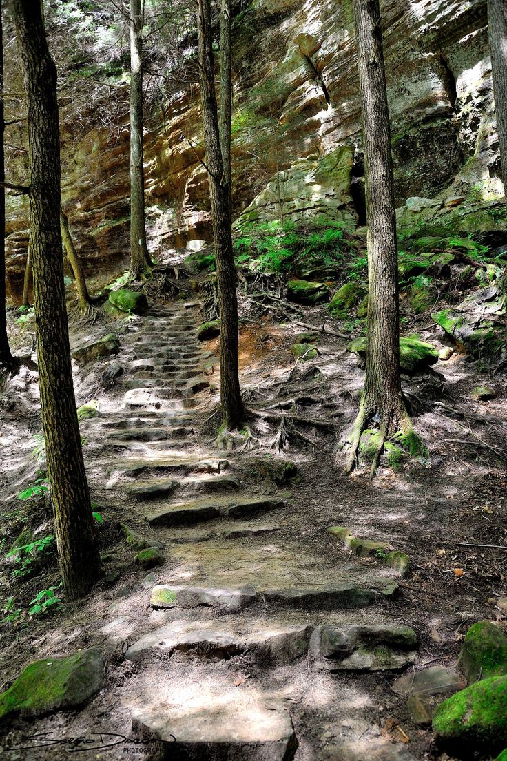 Ohio Hiking Trail photograph by Sergio Dardon Ohio hiking, Hiking