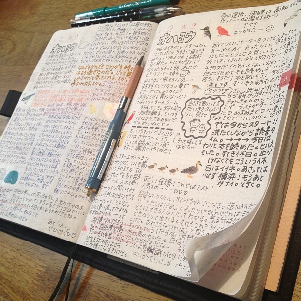 is journaling a word